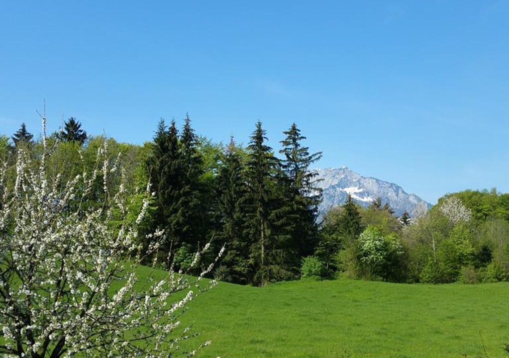 Photo of Others in Oberalm
