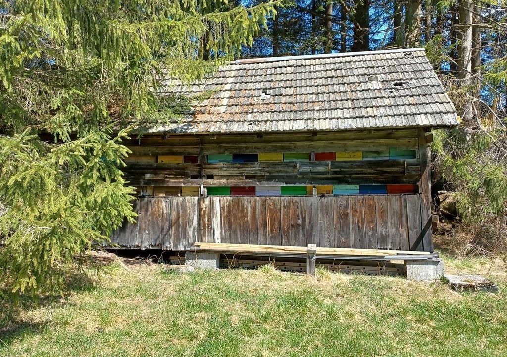 Photo of Others in Sankt Michael im Lungau