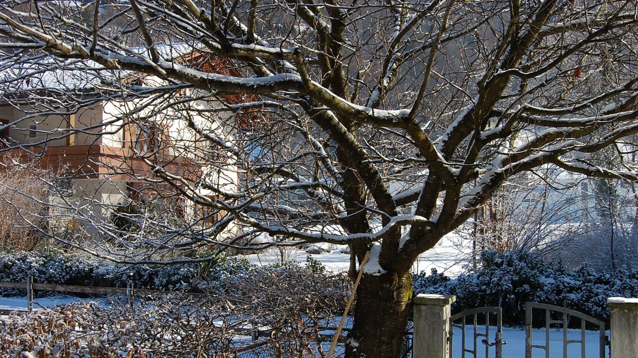 Photo of Outdoor in Schruns