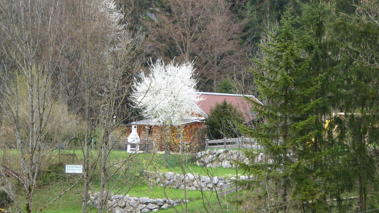 Photo of Outdoor in Bad Ischl