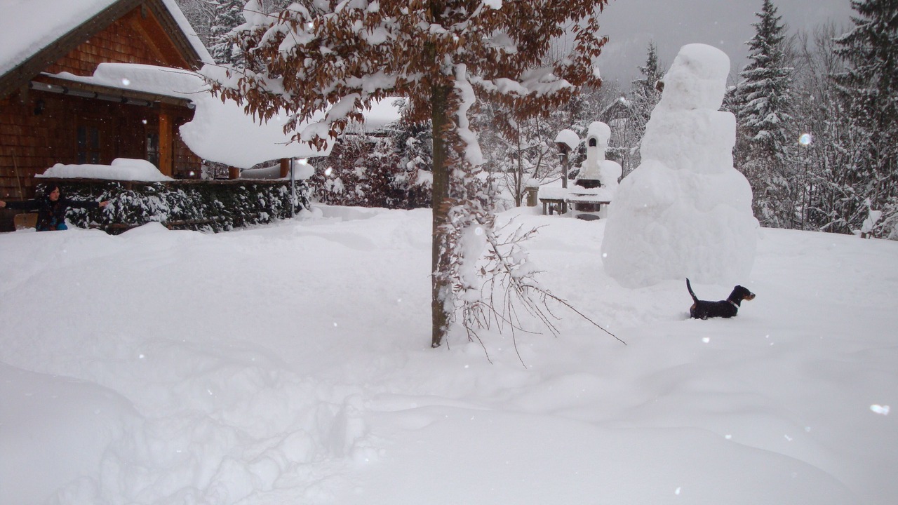 Photo of Outdoor in Bad Ischl