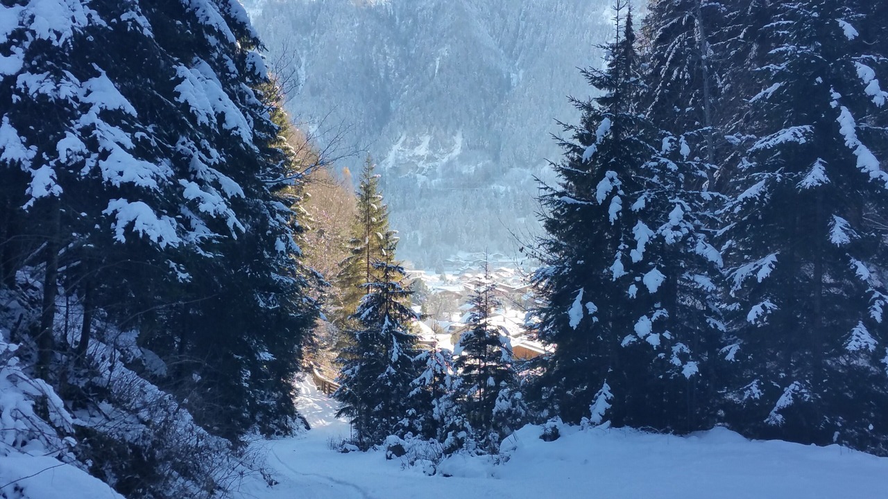 Photo of Others in Muhlbach im Pinzgau