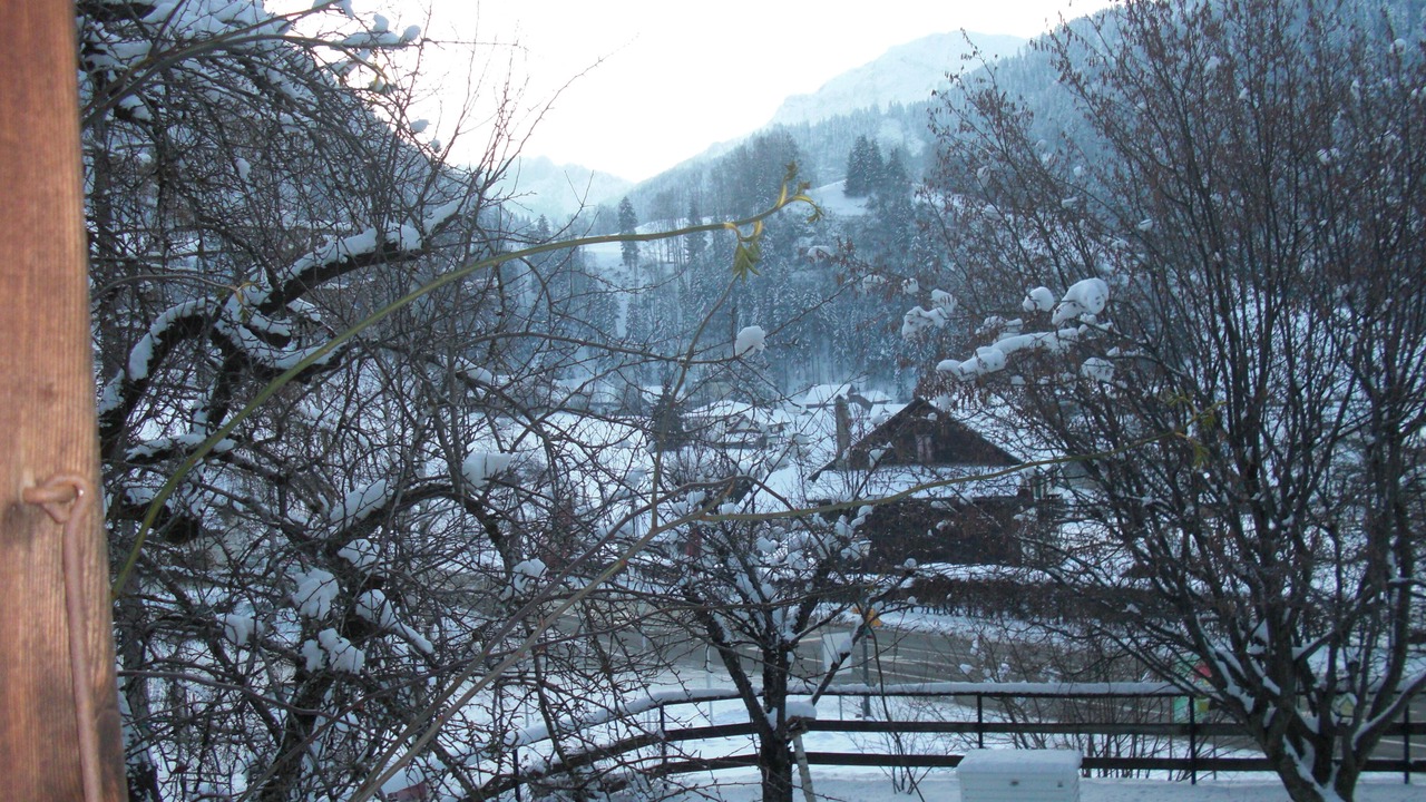 Photo of Outdoor in Charmey