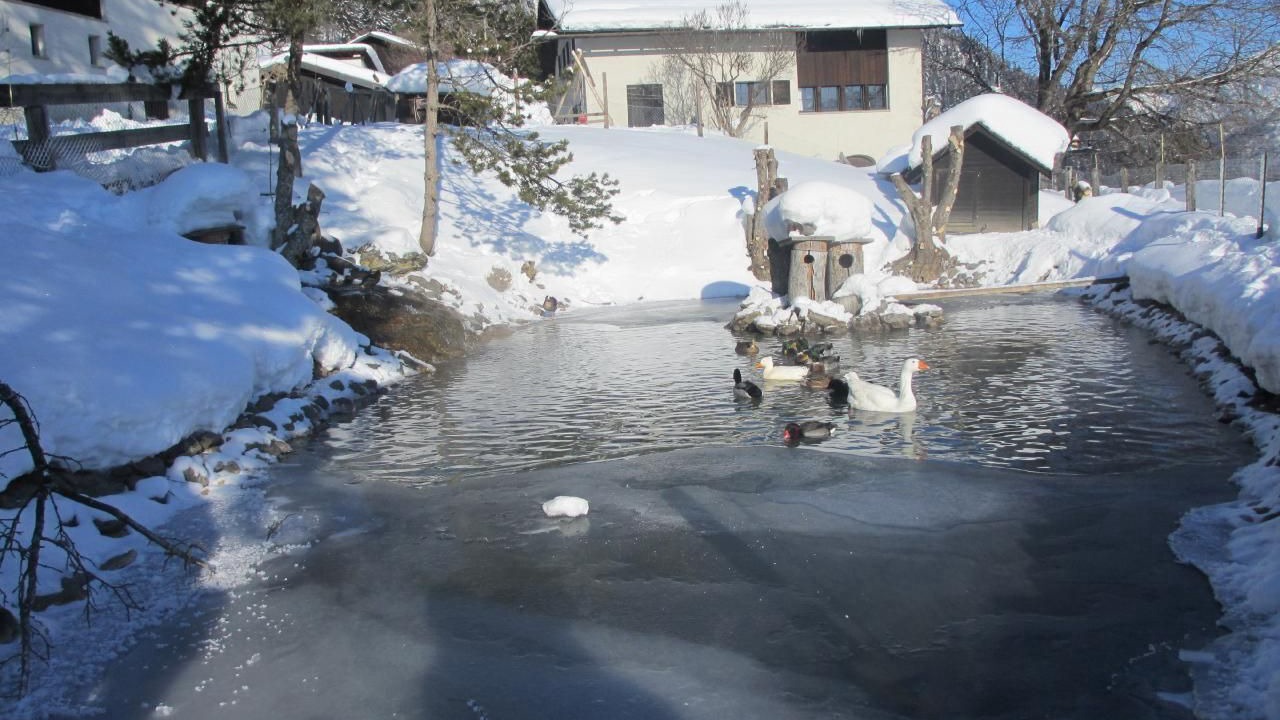 Photo of Others in Praz