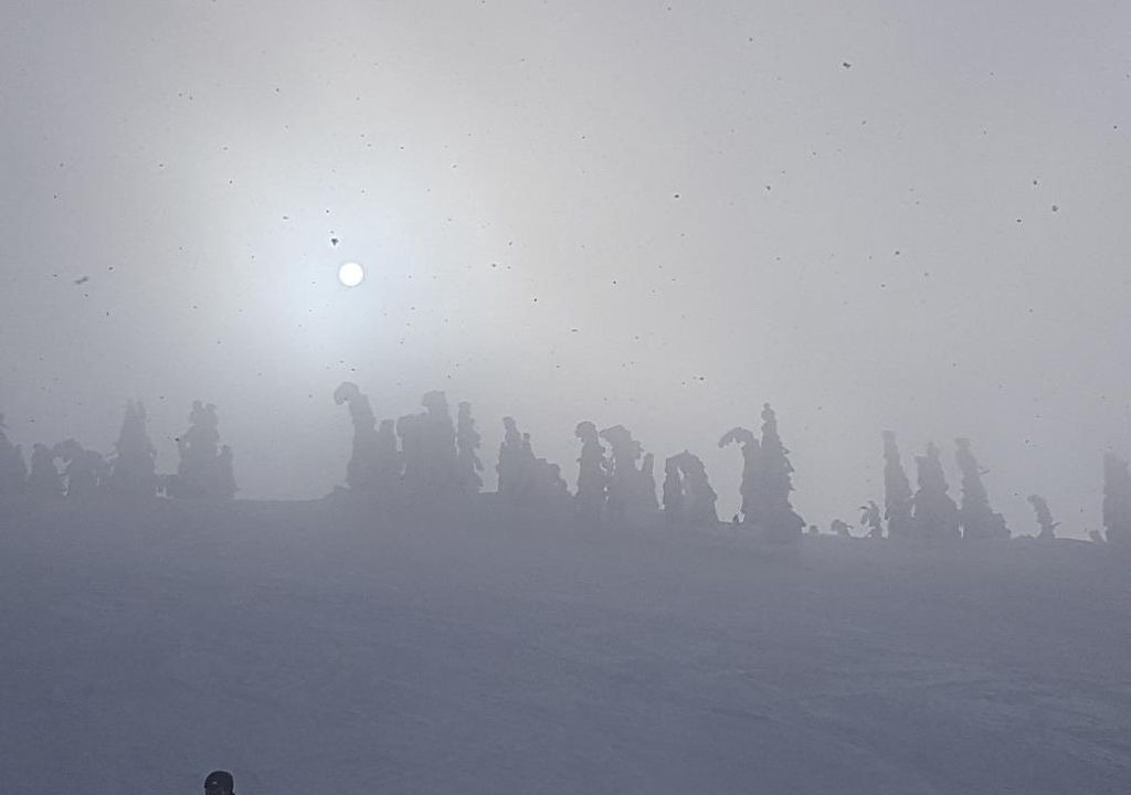 Photo of Others in Scheffau am Wilden Kaiser