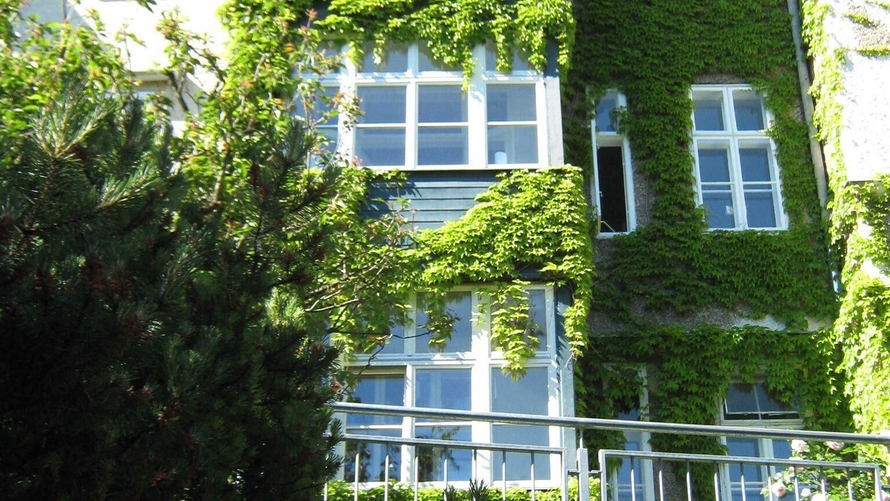 Photo of Outdoor in Wahring