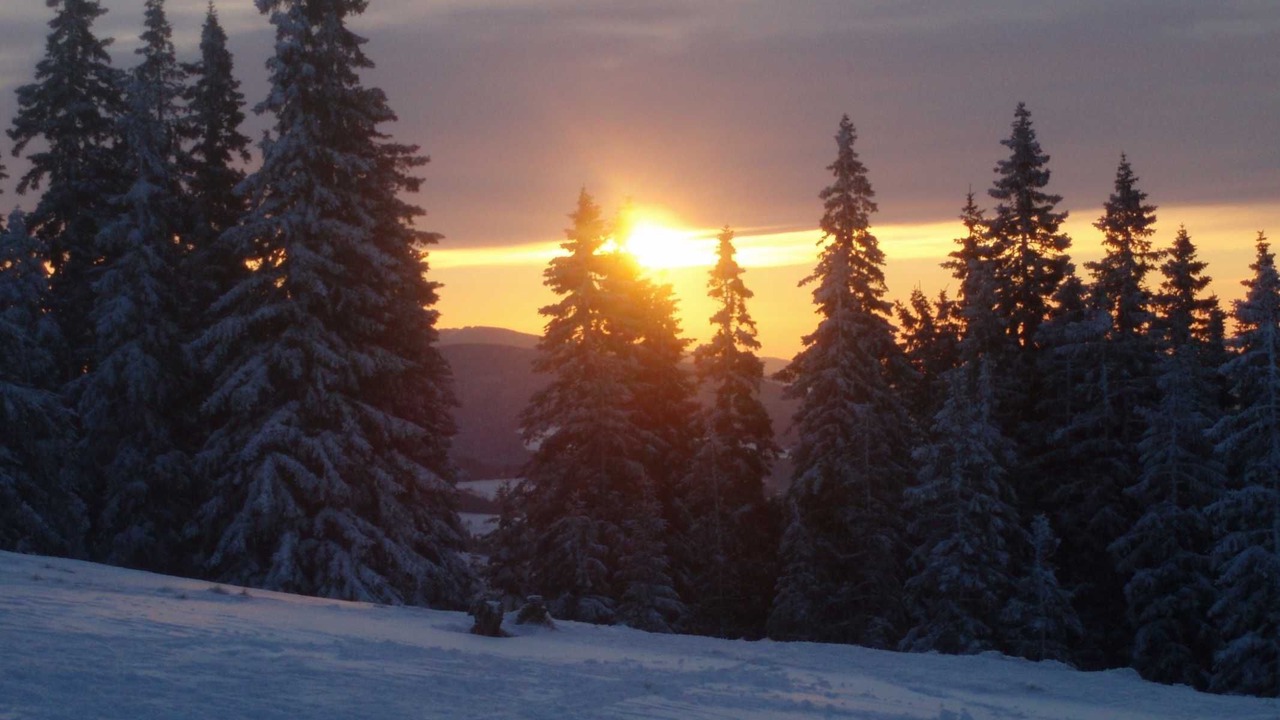 Photo of Others in Sankt Kathrein am Hauenstein