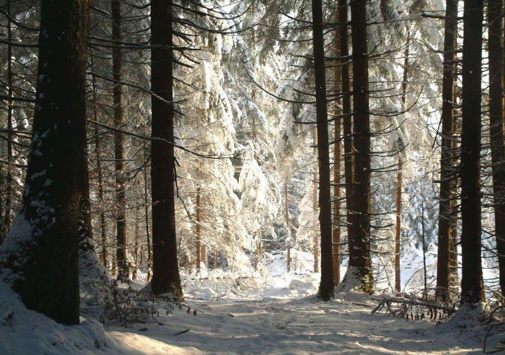 Photo of Others in Hungerburg-Hoheninnsbruck