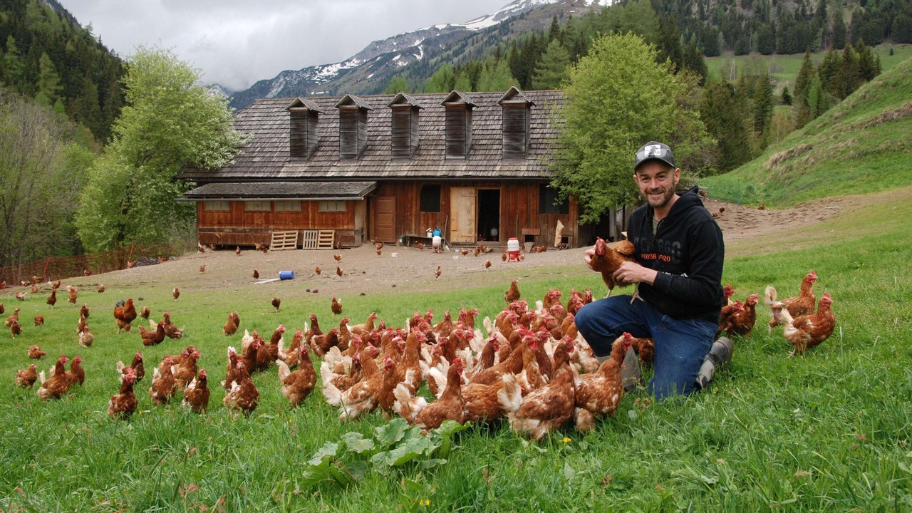 Photo of Outdoor in Zederhaus