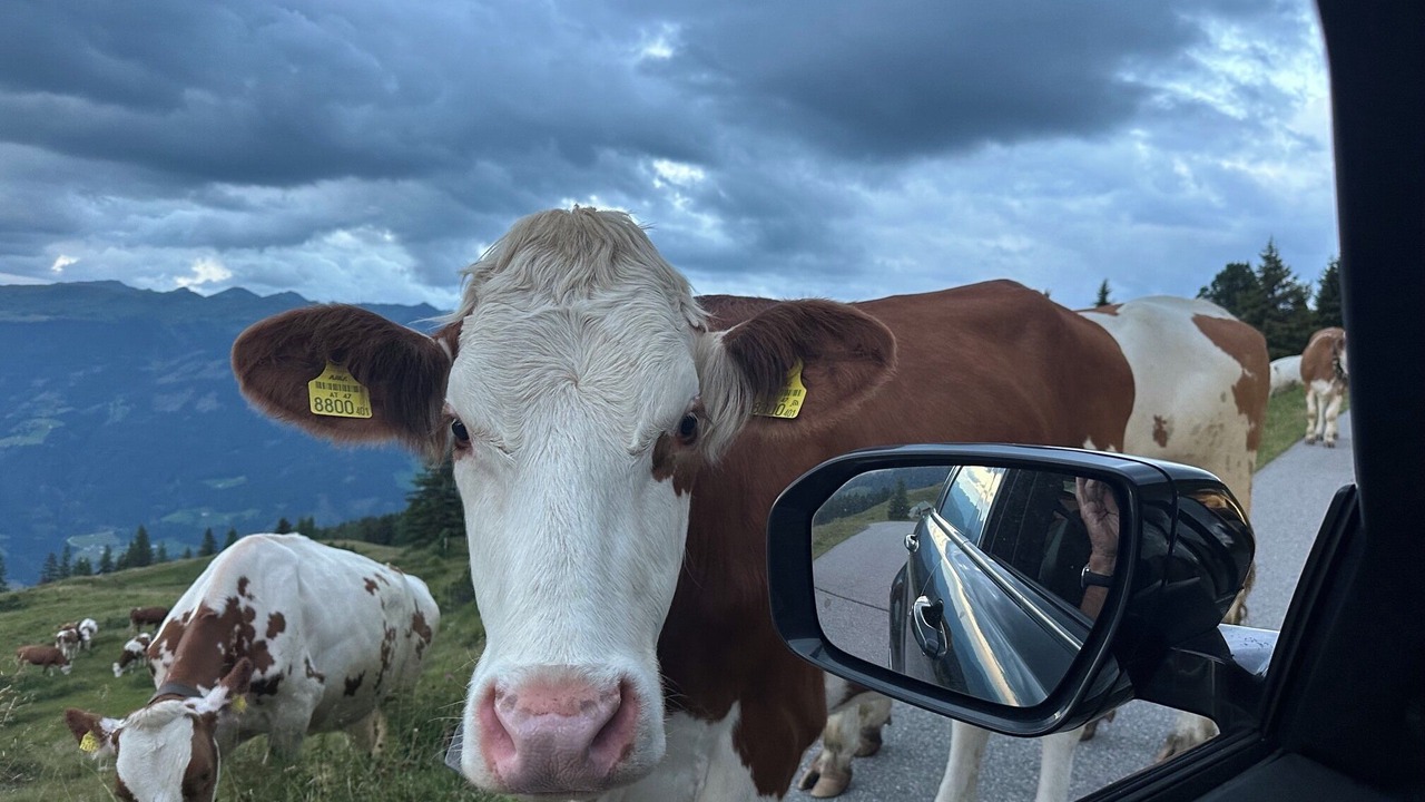 Photo of Others in Kaltenbach