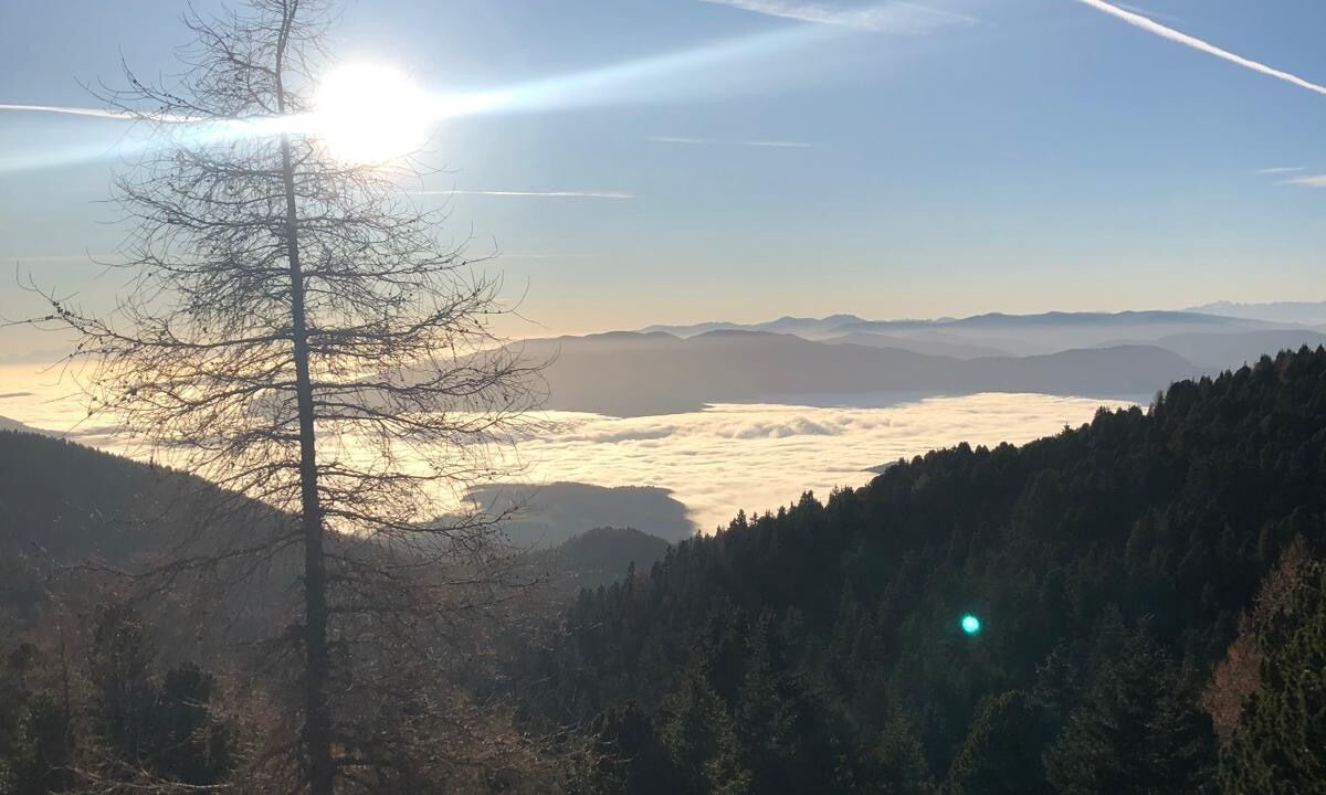 Photo of Others in Seebach