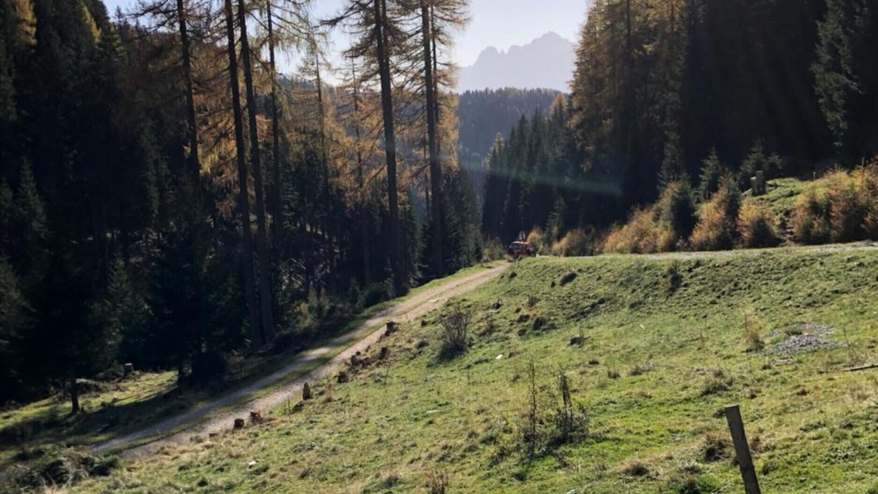 Photo of Others in Lake Pressegger
