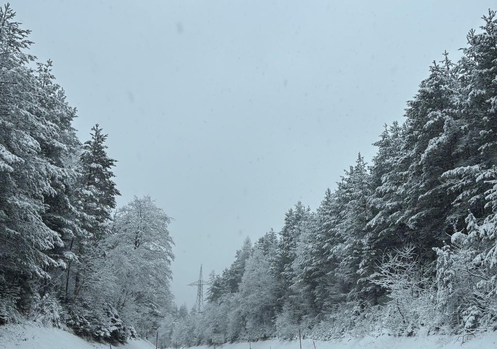 Photo of Others in Reith bei Seefeld
