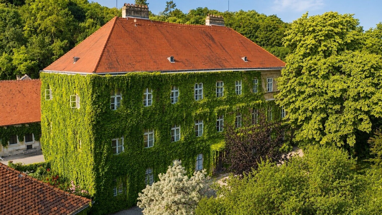 Photo of Outdoor in Krems an der Donau