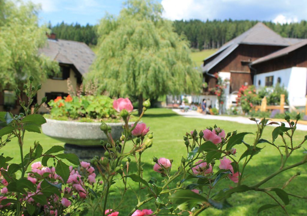 Photo of Outdoor in Fischbach