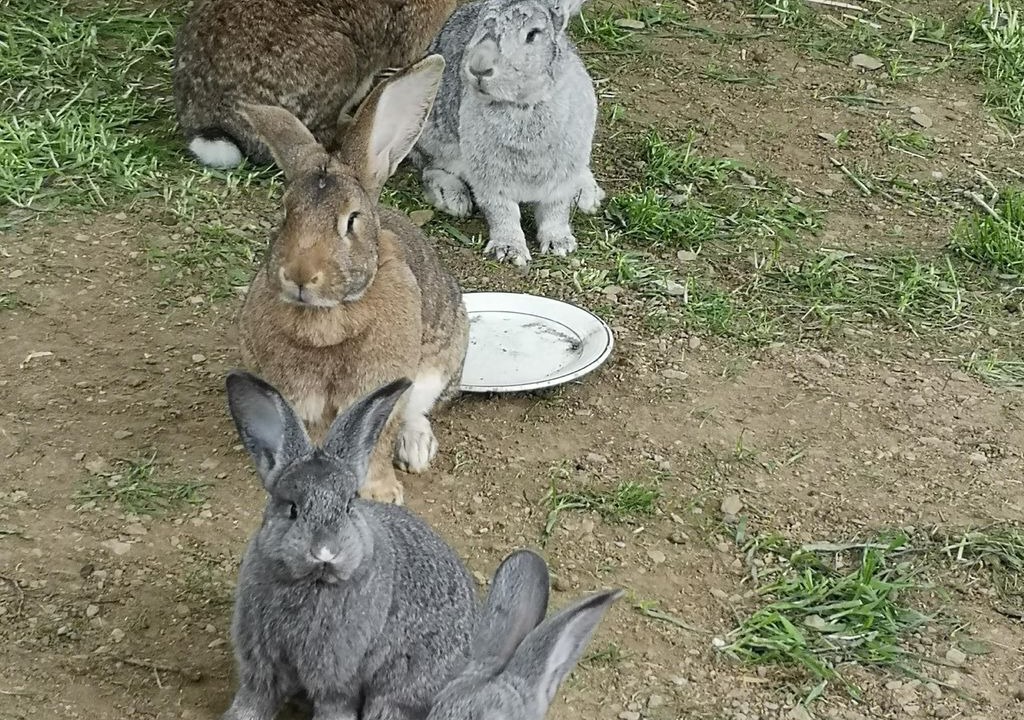 Photo of Others in Fischbach