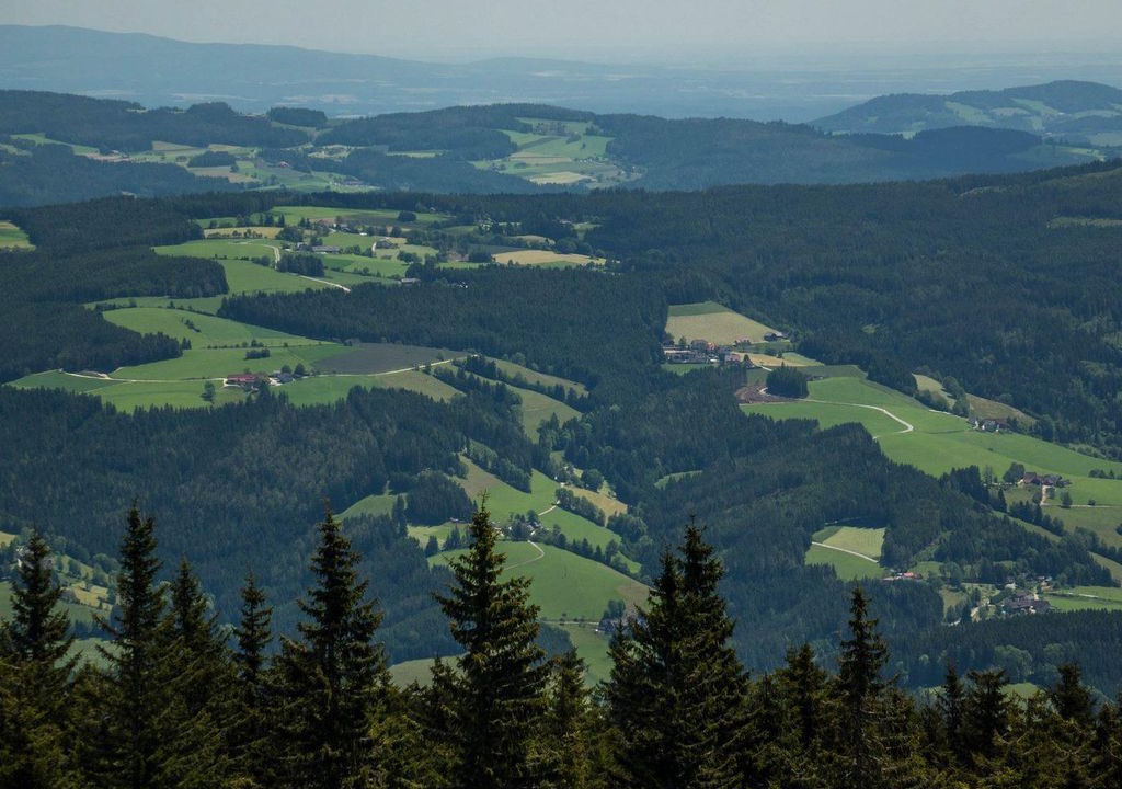 Photo of Others in Fischbach
