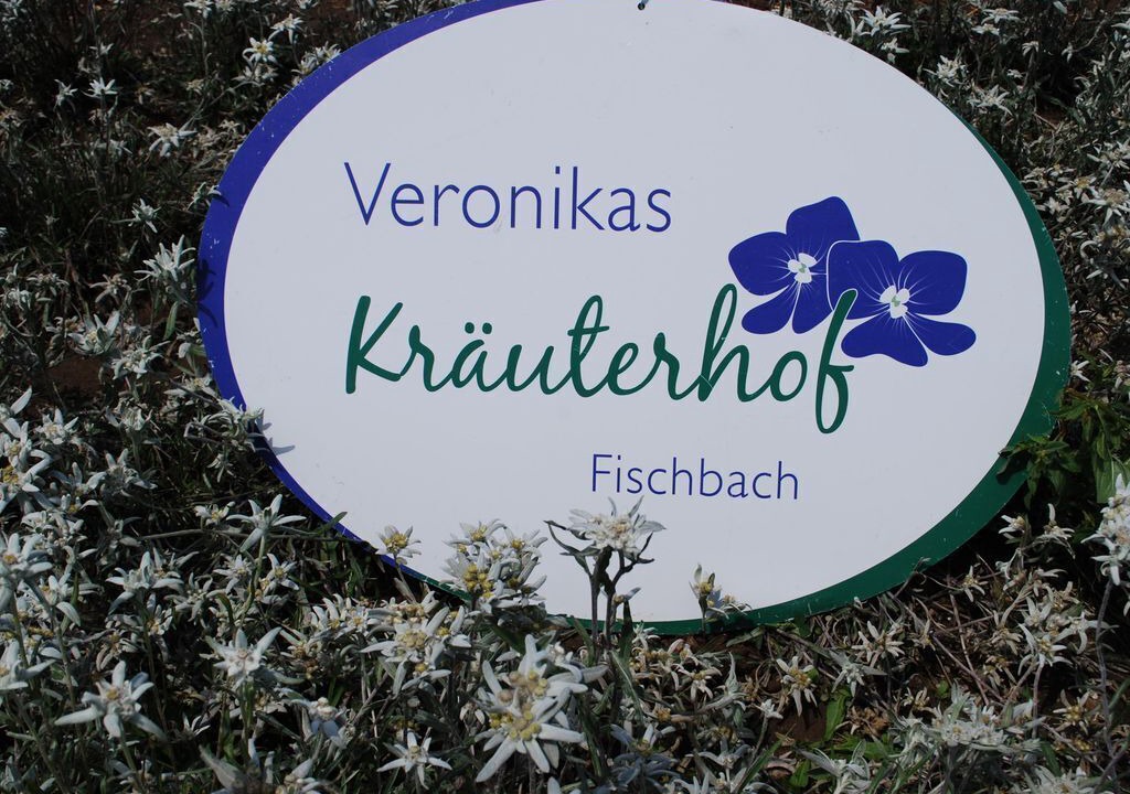 Photo of Others in Fischbach