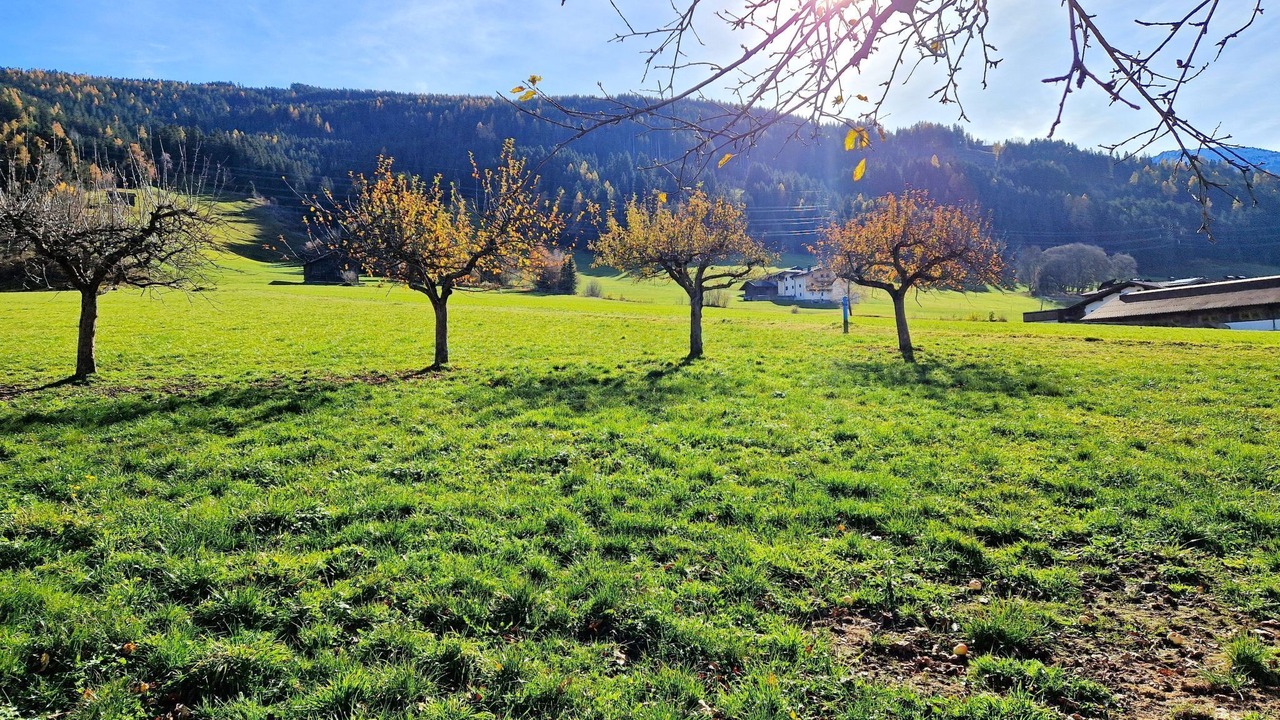 Photo of Others in Außerweerberg