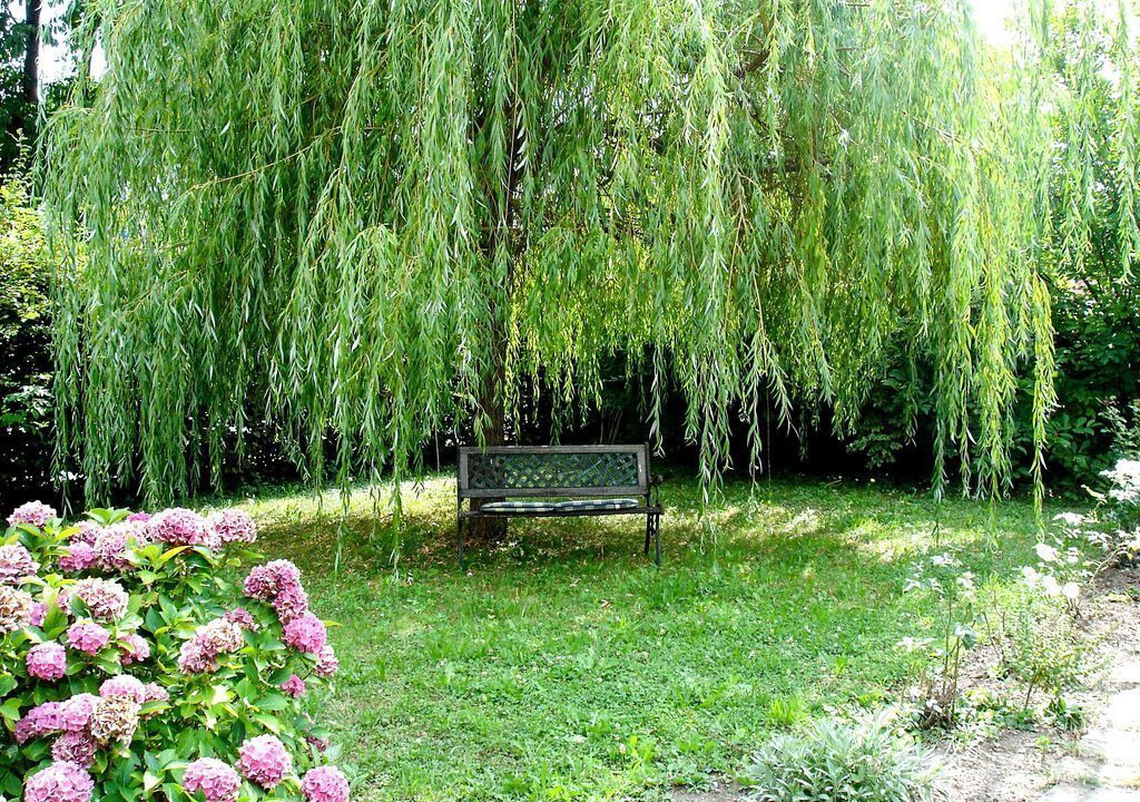 Photo of Outdoor in Weiz