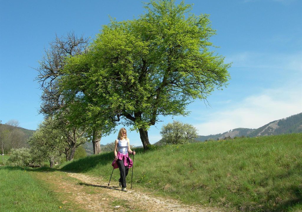 Photo of Others in Krottendorf