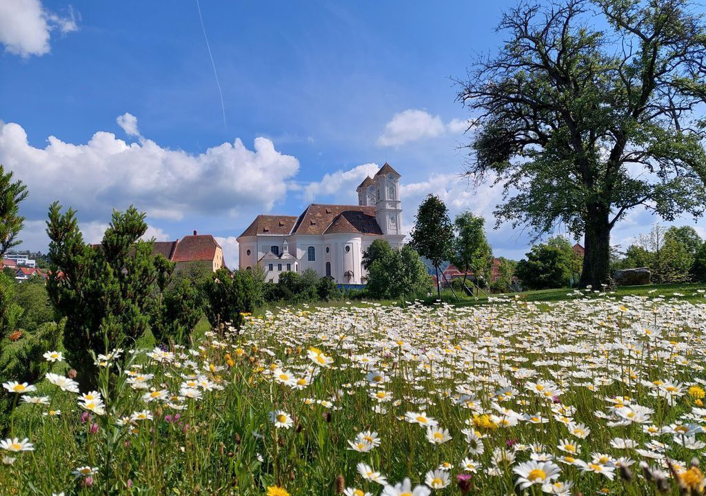 Photo of Others in Krottendorf