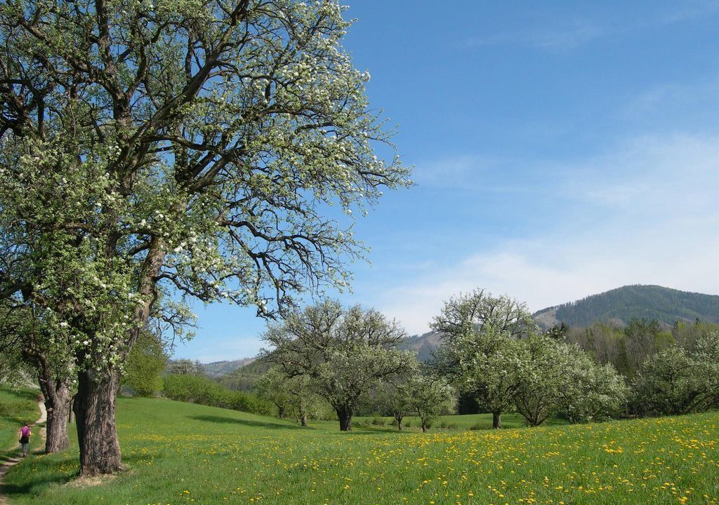 Photo of Others in Krottendorf
