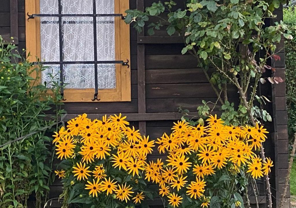 Photo of Outdoor in Neudorf bei Passail