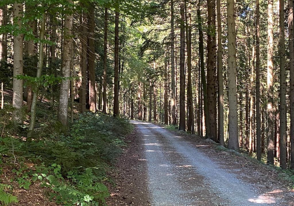 Photo of Others in Neudorf bei Passail