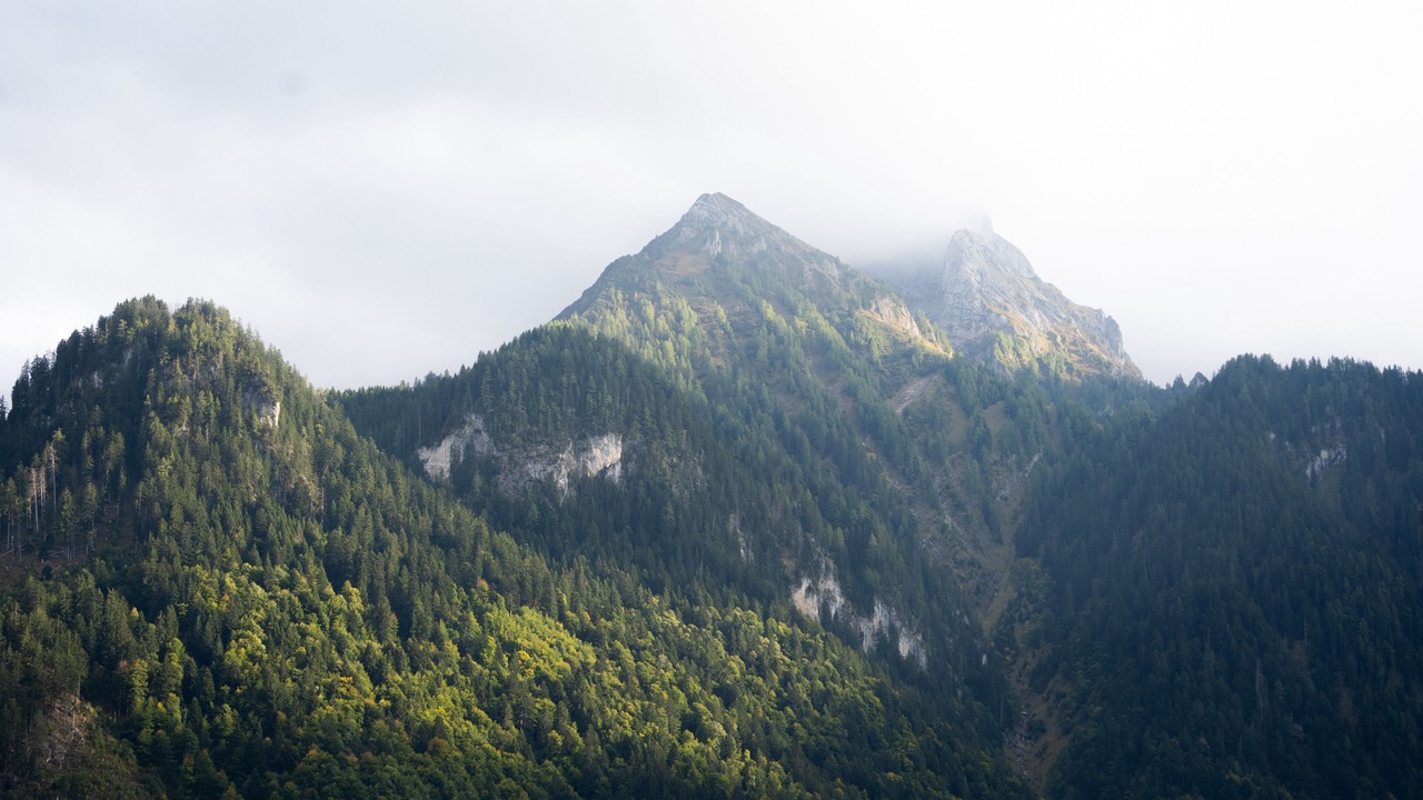 Photo of Others in Buerserberg