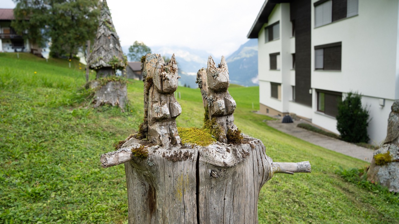Photo of Outdoor in Buerserberg