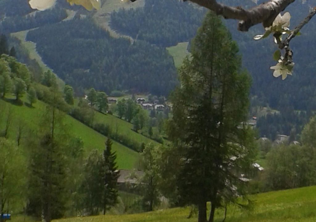 Photo of Others in Untertschern