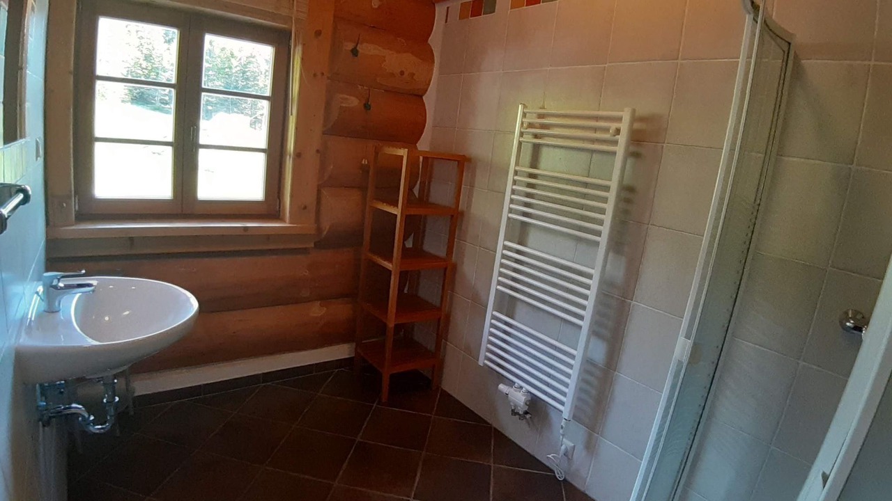 Photo of Bathroom in Lachtal