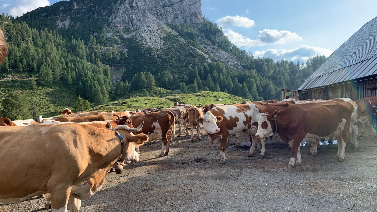 Photo of Others in Schlanitzen