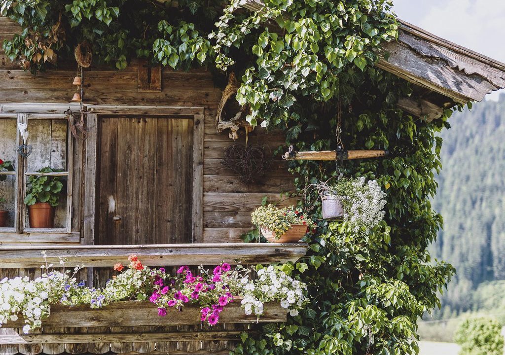 Photo of Outdoor in Leogang