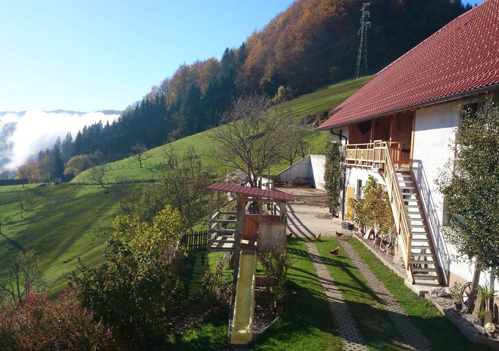 Photo of Outdoor in Grossraming