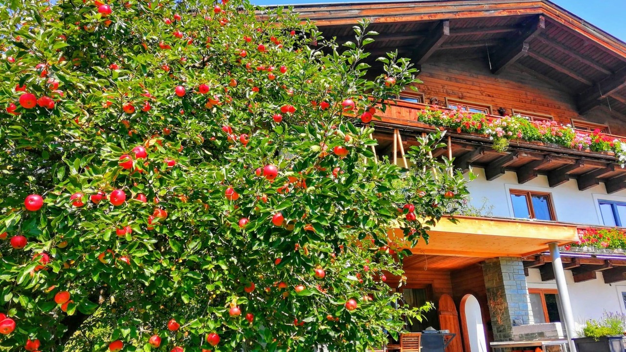 Photo of Outdoor in Muhlbach im Pinzgau