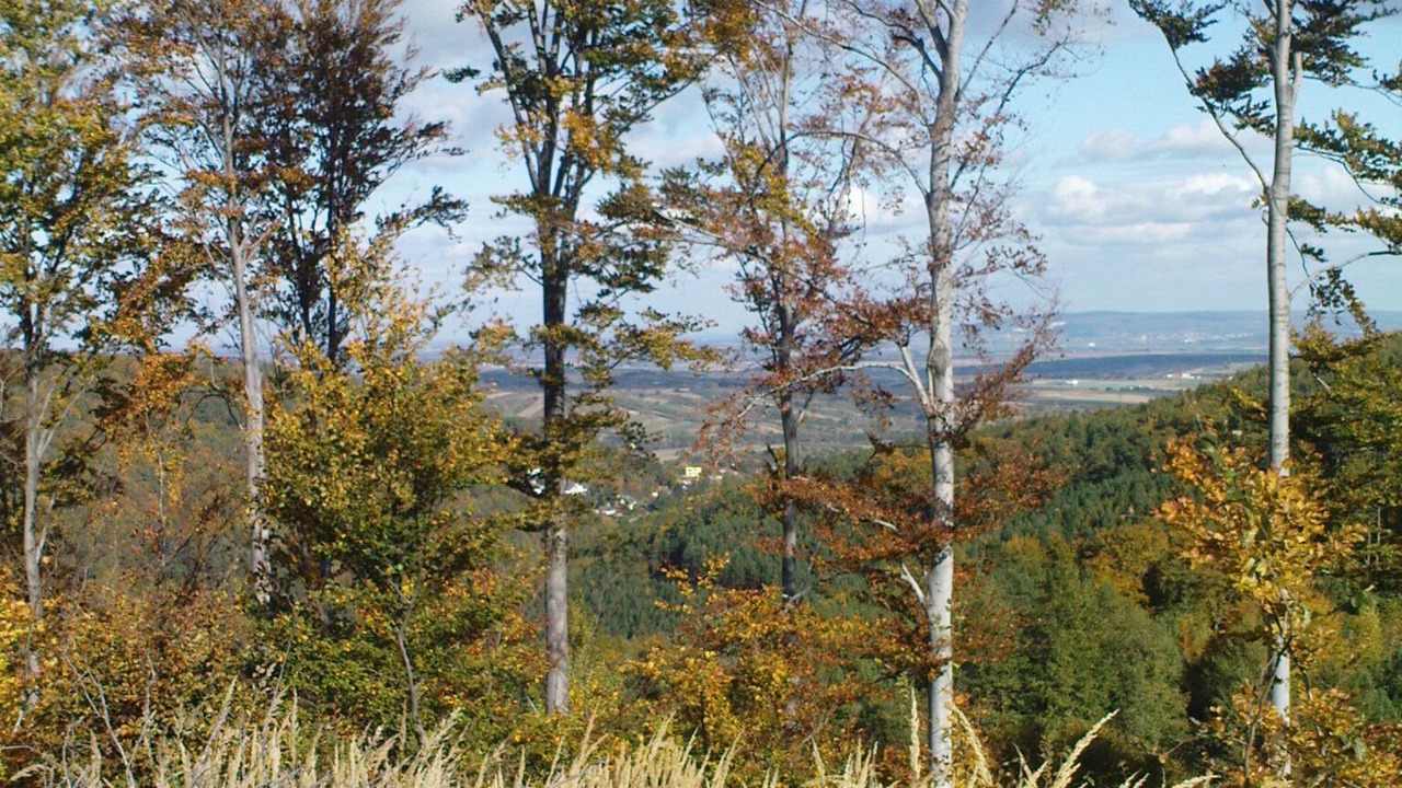 Photo of Others in Forchtenstein