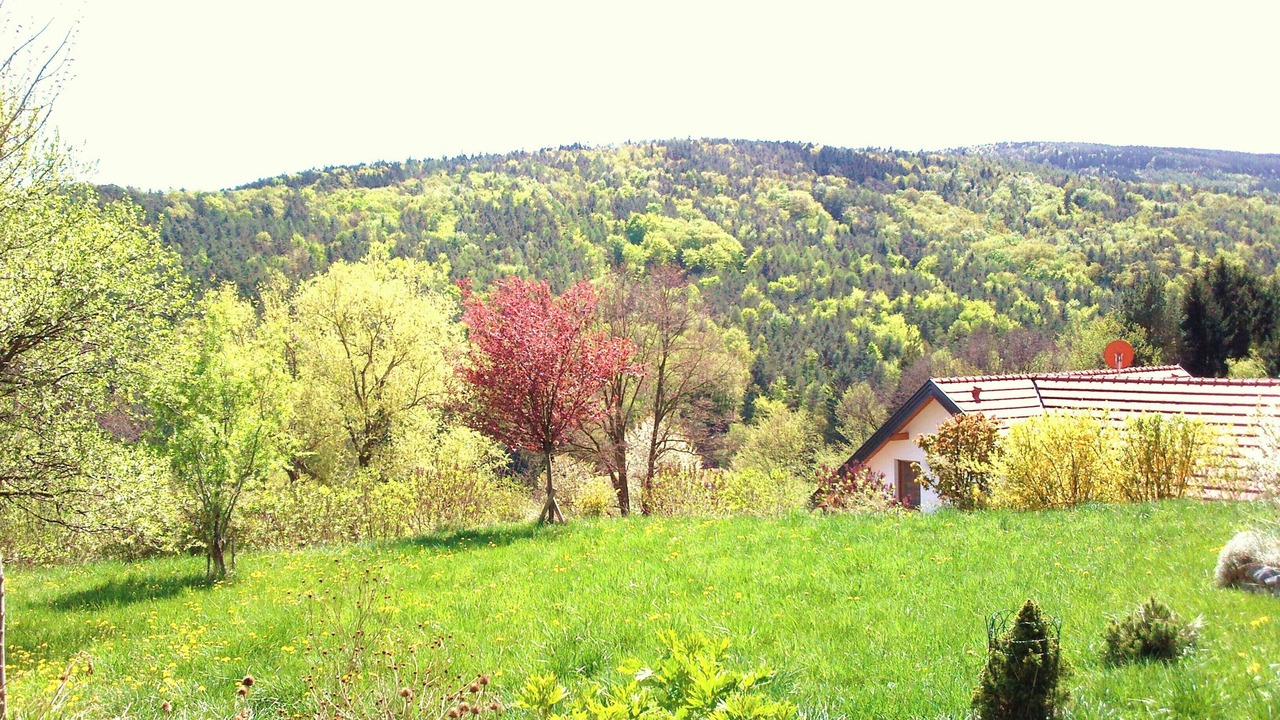 Photo of Outdoor in Forchtenstein