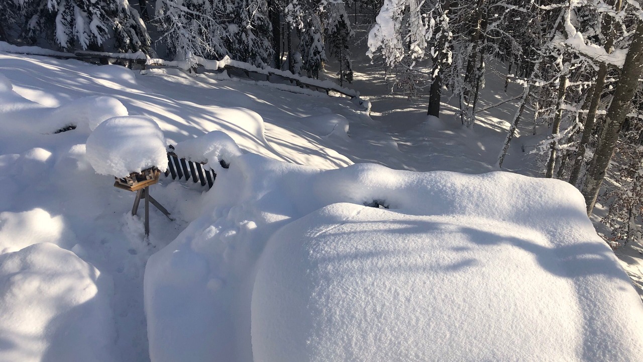 Photo of Others in Ferlach
