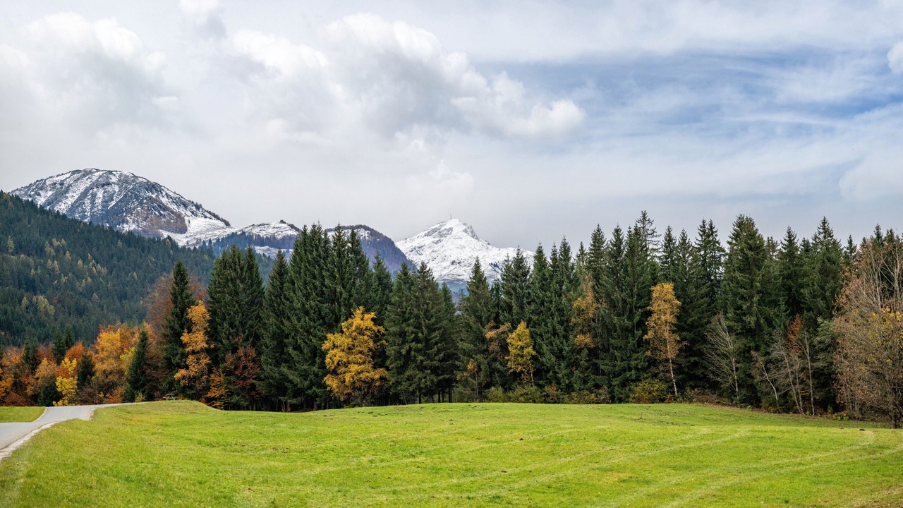 Photo of Others in Fieberbrunn