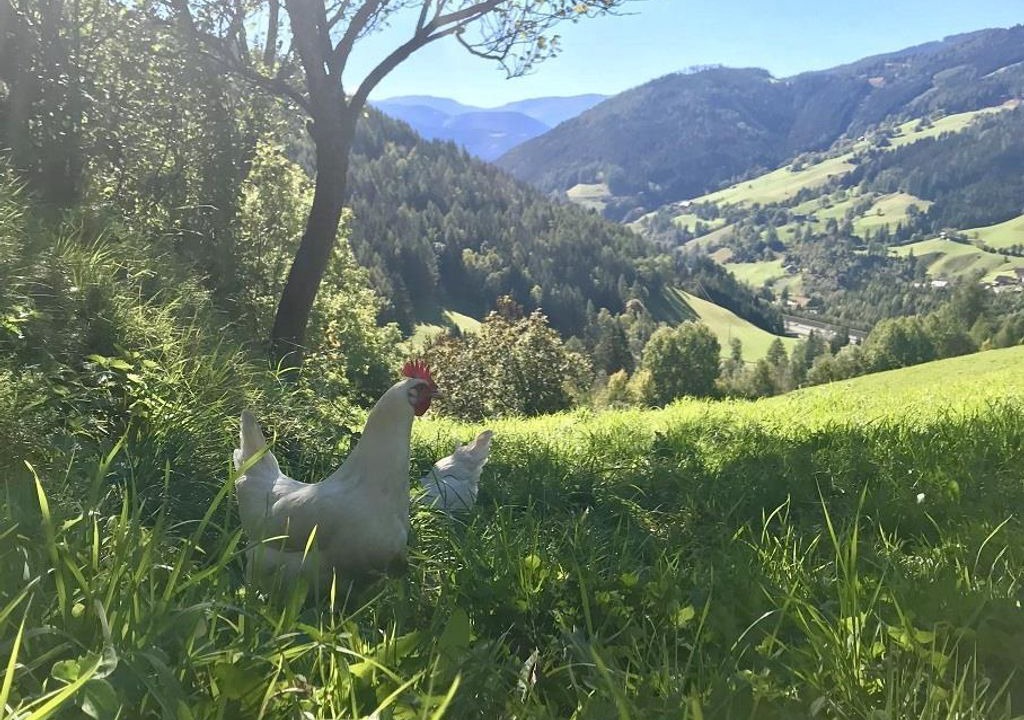 Photo of Others in Rennweg am Katschberg