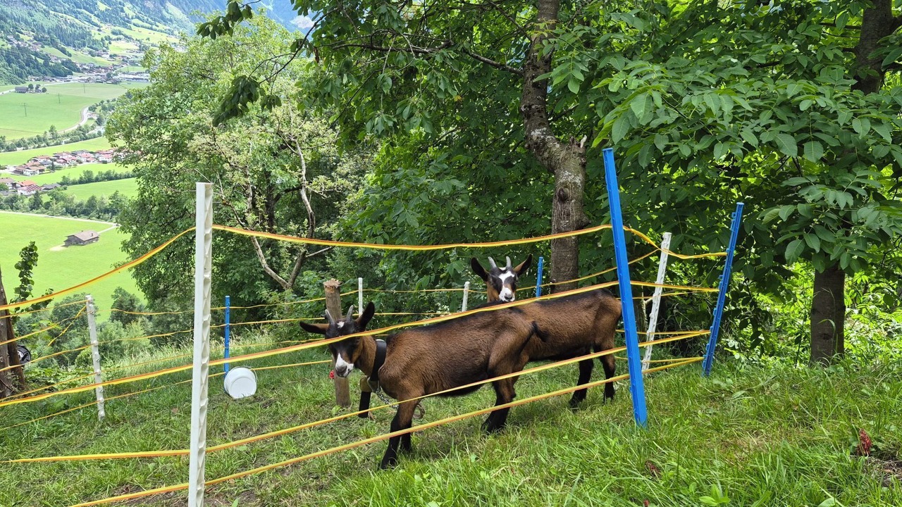 Photo of Outdoor in Zellbergeben