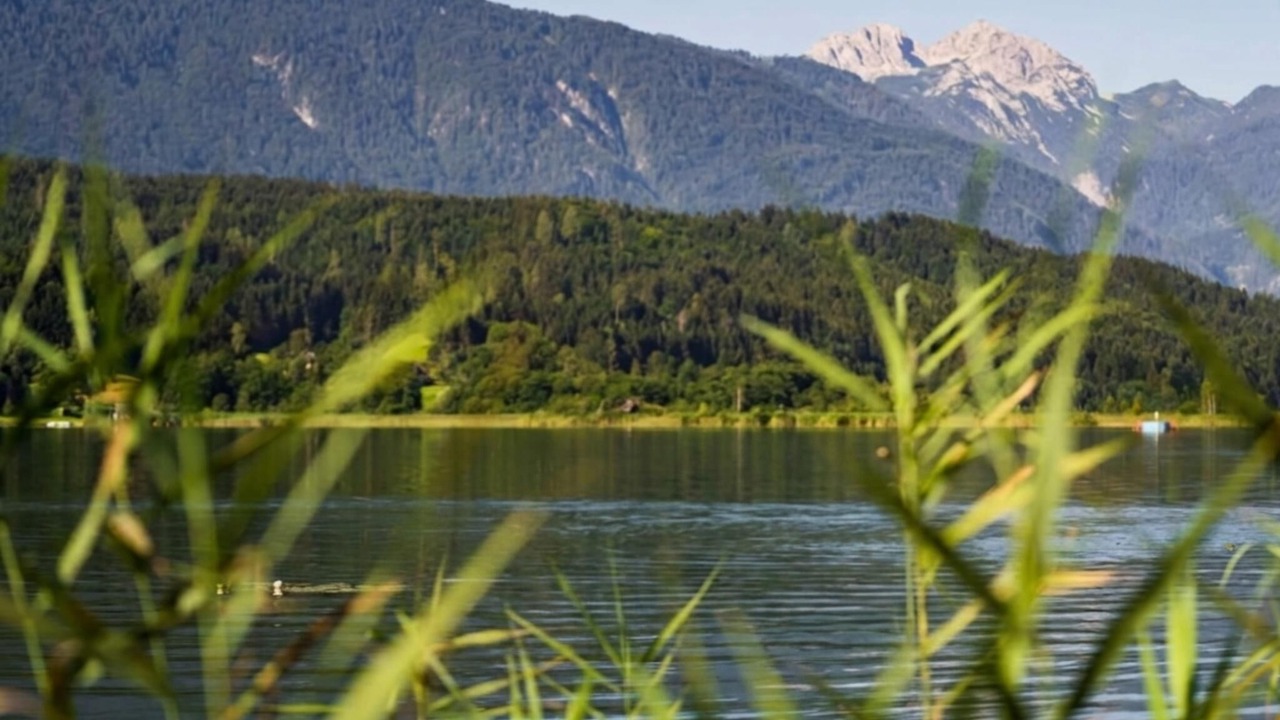 Photo of Others in Lake Pressegger