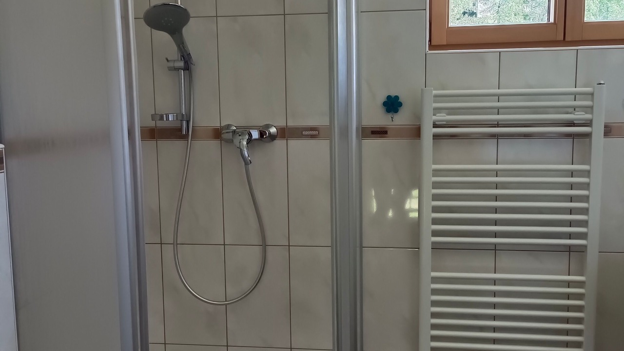 Photo of Bathroom in Tauplitz