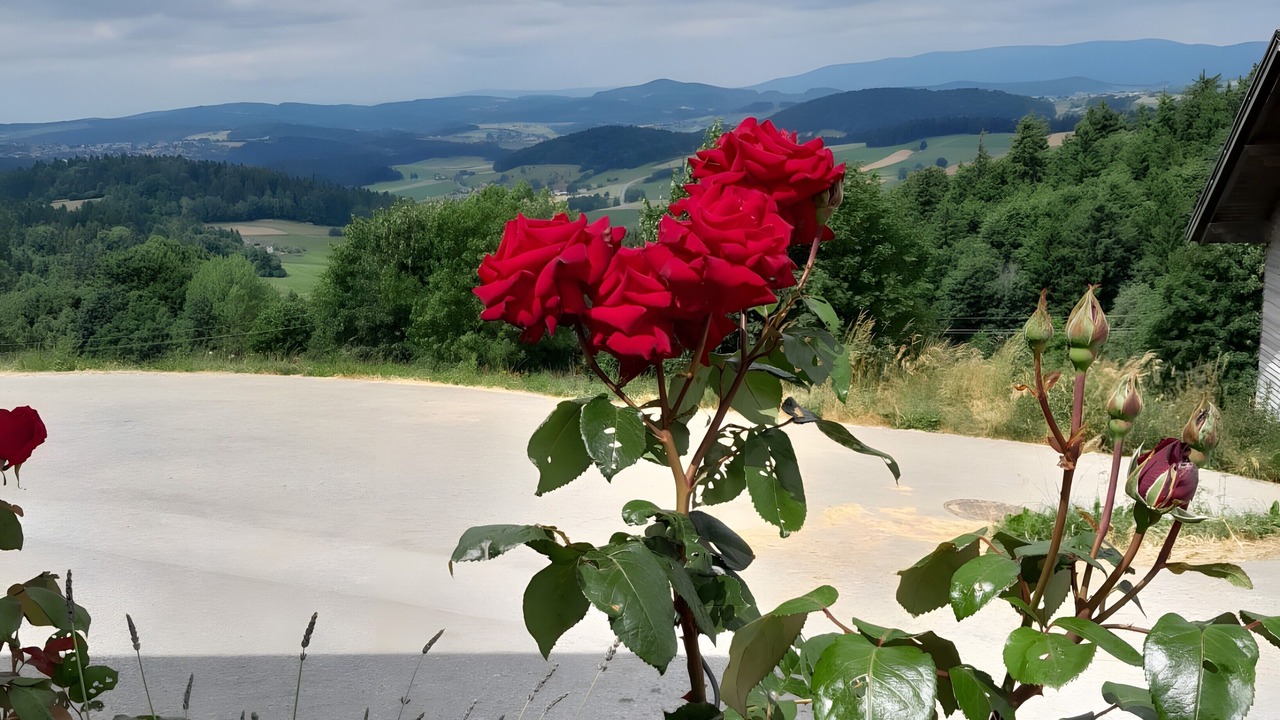 Photo of Outdoor in Atzesberg