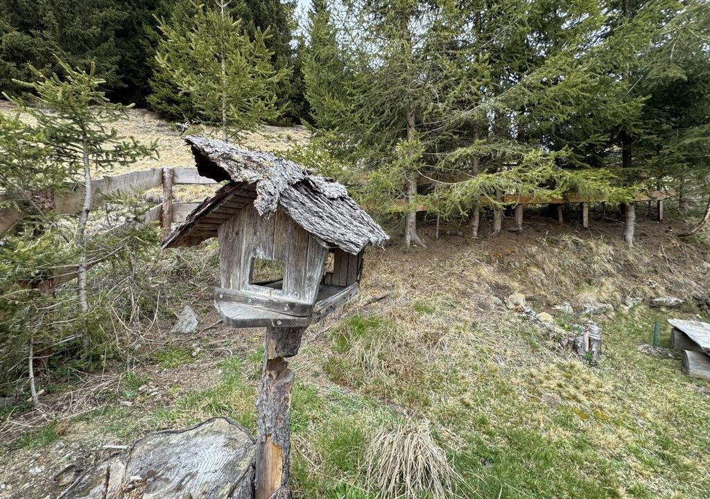 Photo of Others in Schoenberg-Lachtal