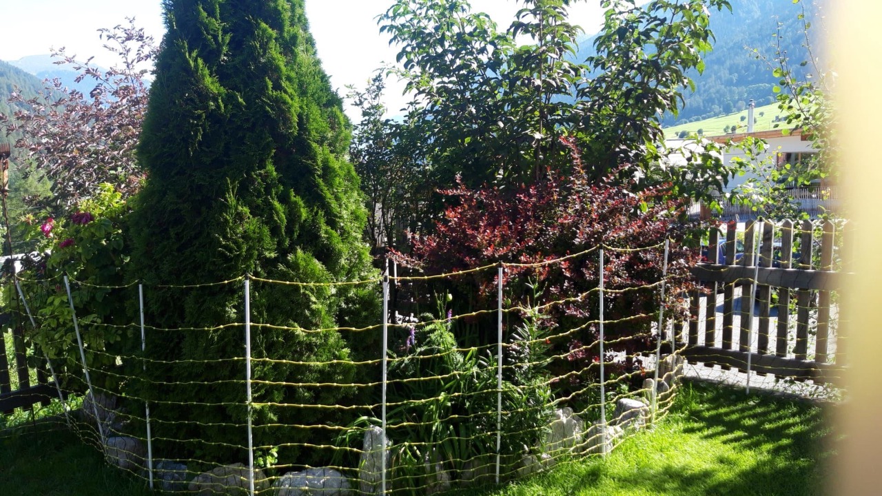 Photo of Others in Val Muestair