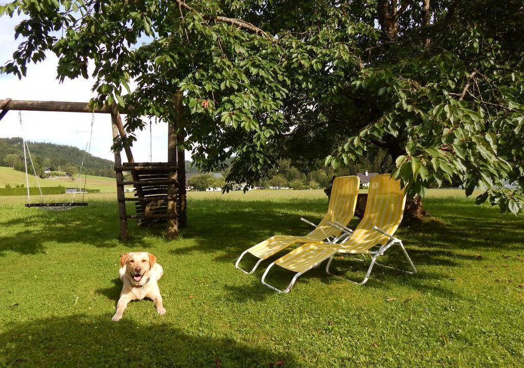 Photo of Outdoor in Hinterstoder