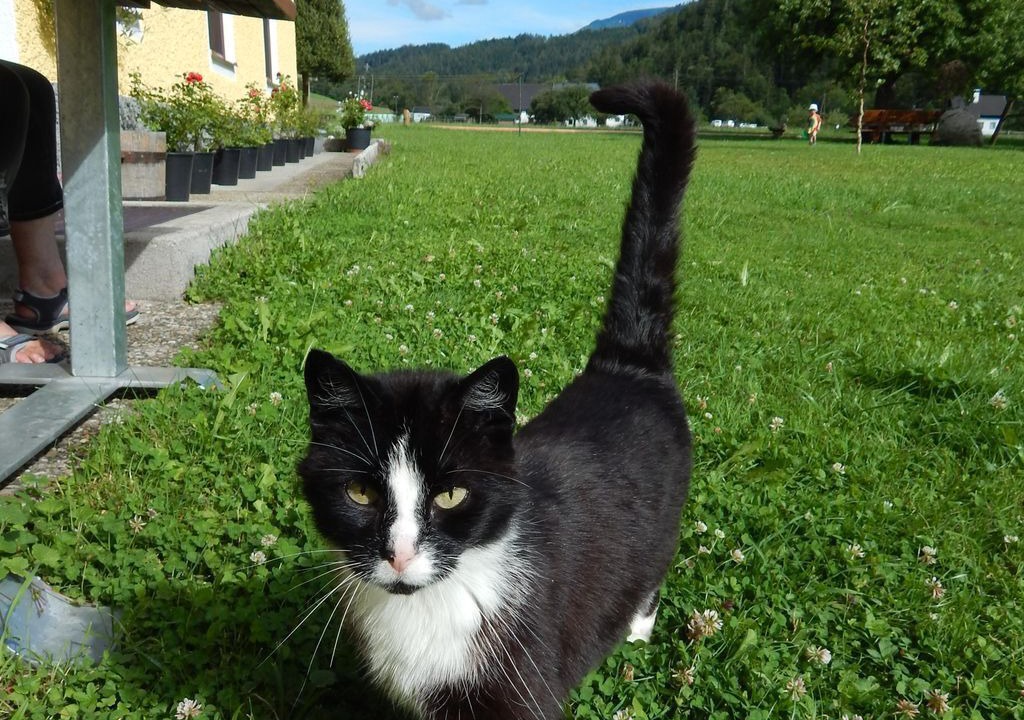 Photo of Others in Hinterstoder